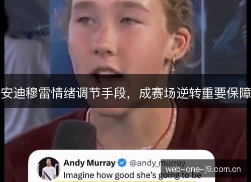 安迪穆雷情绪调节手段,成赛场逆转重要保障 安迪穆雷情绪调节手段,成赛场逆转重要保障